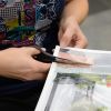 День открытых уроков 18 августа