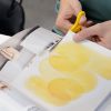 Яркая осень в IDS: рассказываем о нашем Дне открытых уроков