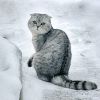 Фотоконкурс «Зоркий глаз дизайнера» - Галерея