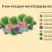 Дизайн-проект озеленения и благоустройства участка «Сиреневый сад» - Галерея