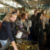 Стажировка в Италии: октябрь 2012 - Галерея