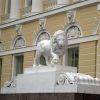 Стажировка в Санкт-Петербурге - Галерея